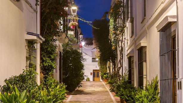 A narrow stone pathway flanked by lush greenery and white buildings with balconies, leading to a wooden door.