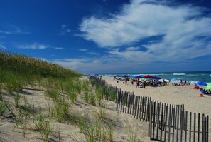Playa en los alrededores 