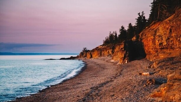 A rocky beach with a view of the ocean and a forested cliff. - Cozy cottage with a hot tub on the bay of fundy (Berwick)
