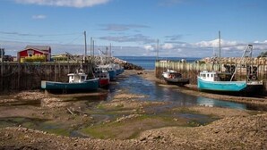 Unclassified image, 4 of 18, button - Cozy cottage with a hot tub on the bay of fundy (Berwick)