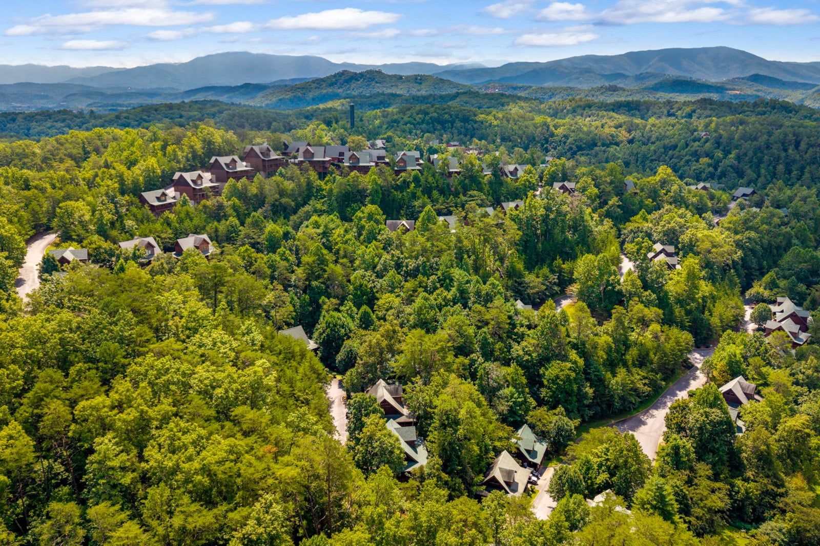 A residential area with houses surrounded by dense forest, with a clear view of the mountains in the background.