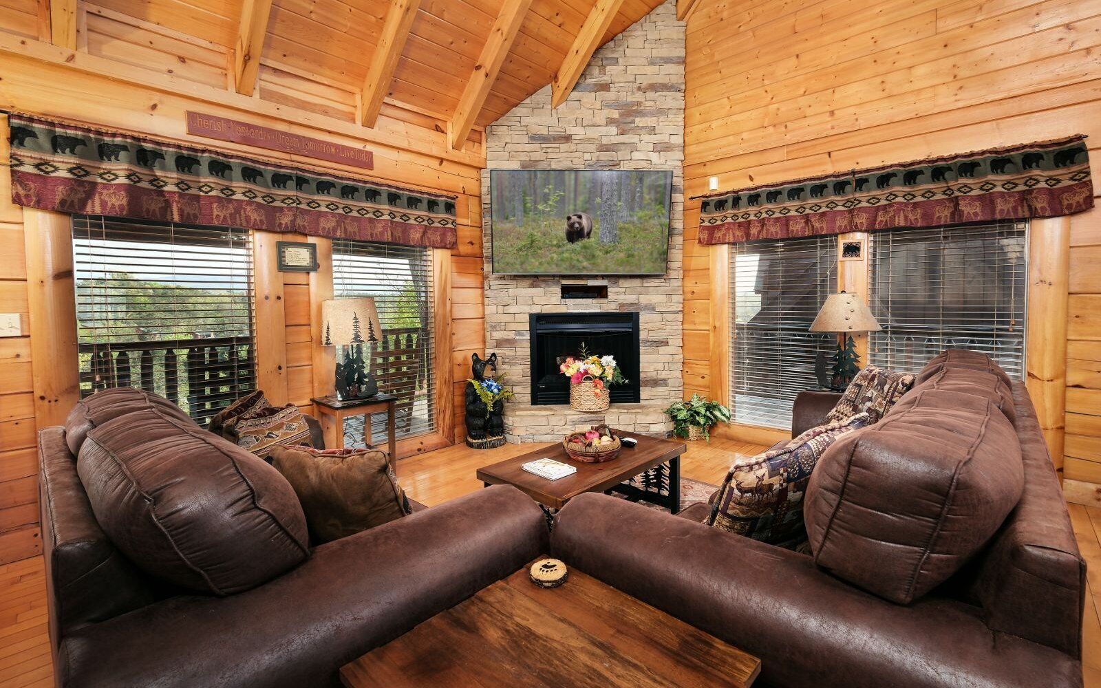 تلفزيون، مدفأة، ألعاب فيديو، مشغل دي في دي