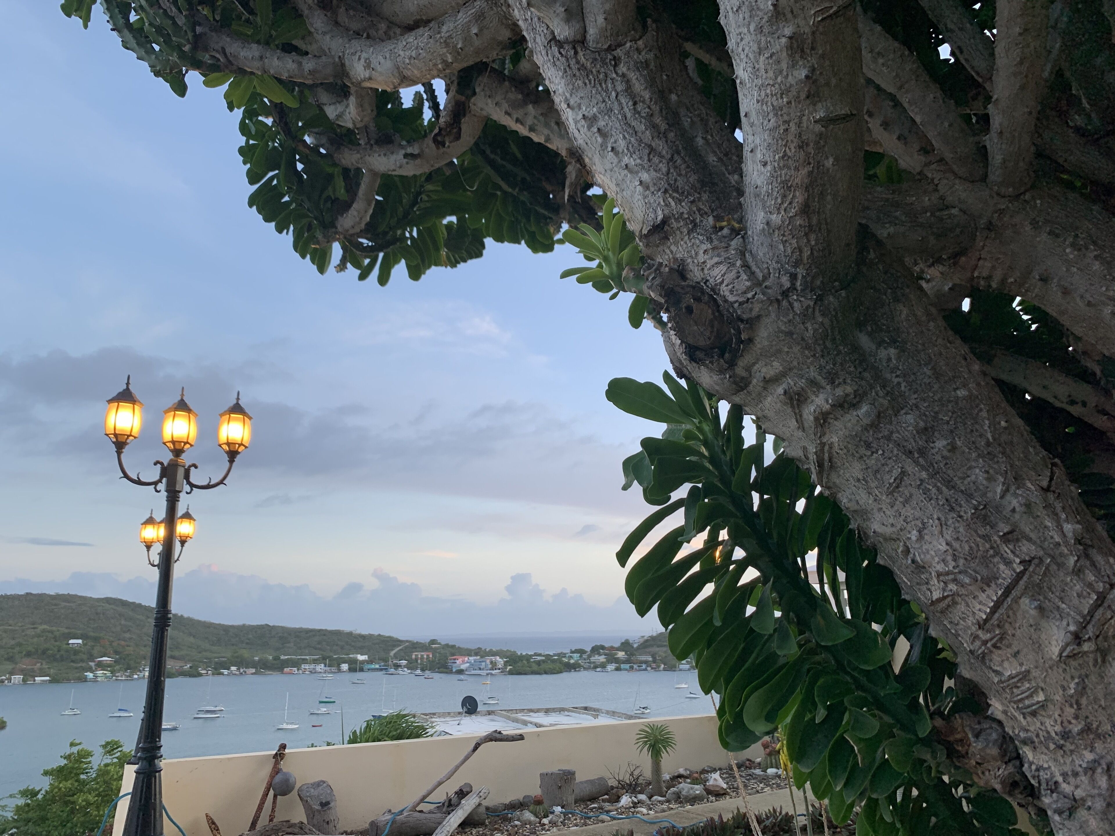 Área da propriedade