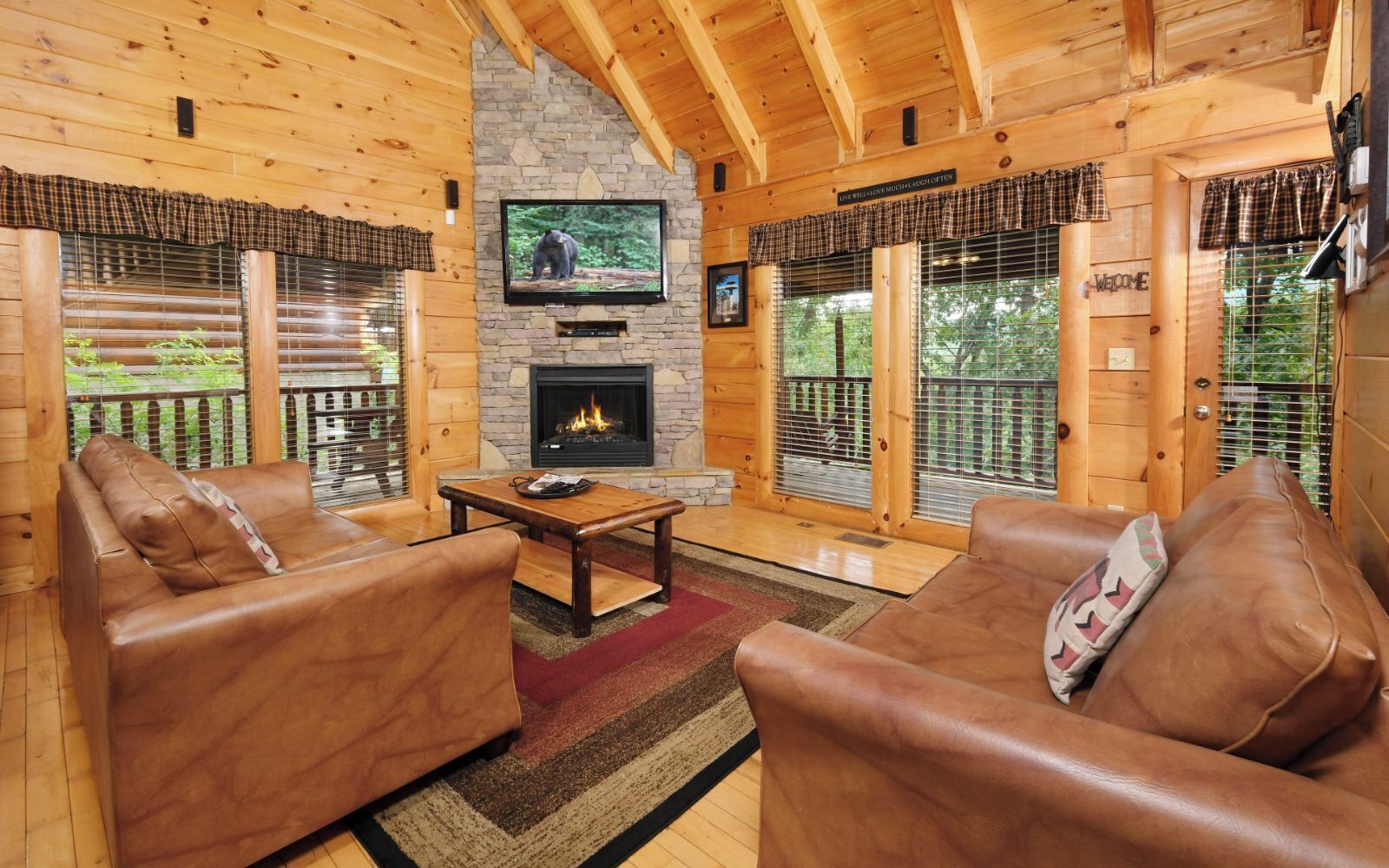 TV, fireplace, DVD player, music library