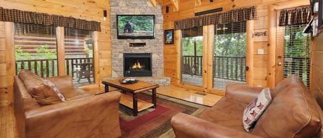 电视、壁炉、DVD 播放器、音乐库