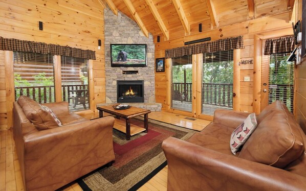 TV, fireplace, DVD player, music library