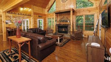 Télévision, cheminée, lecteur de DVD, médiathèque