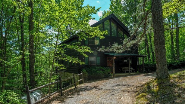 Una baita rustica con vialetto sterrato, immersa in una fitta foresta.