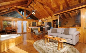 TV, fireplace, video library, stereo