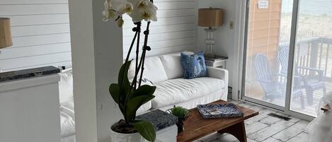 Smart TV, chimenea, reproductor de DVD y libros