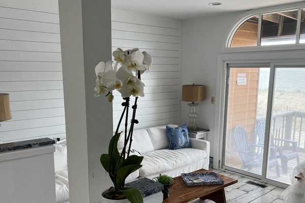 Smart-TV, peis, DVD-spiller og bøker