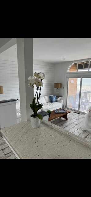 Smart TV, fireplace, DVD player, books