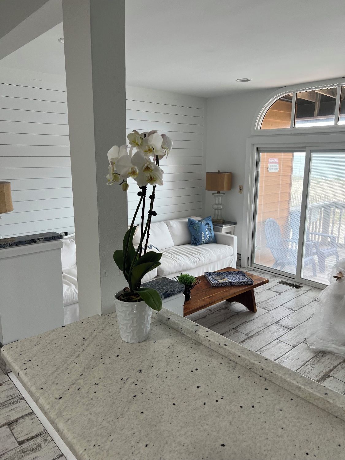 A modern living room with a white sofa, a coffee table, and a potted orchid.