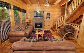 电视、壁炉、电子游戏、DVD 播放器