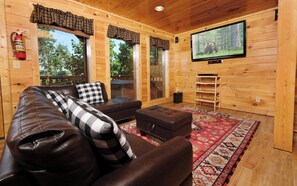 电视、壁炉、电子游戏、DVD 播放器