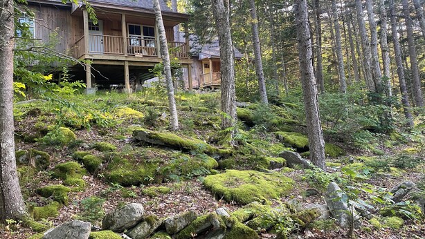 En stuga av trä med en veranda, omgiven av en skog med mossbeklädda stenar och träd.