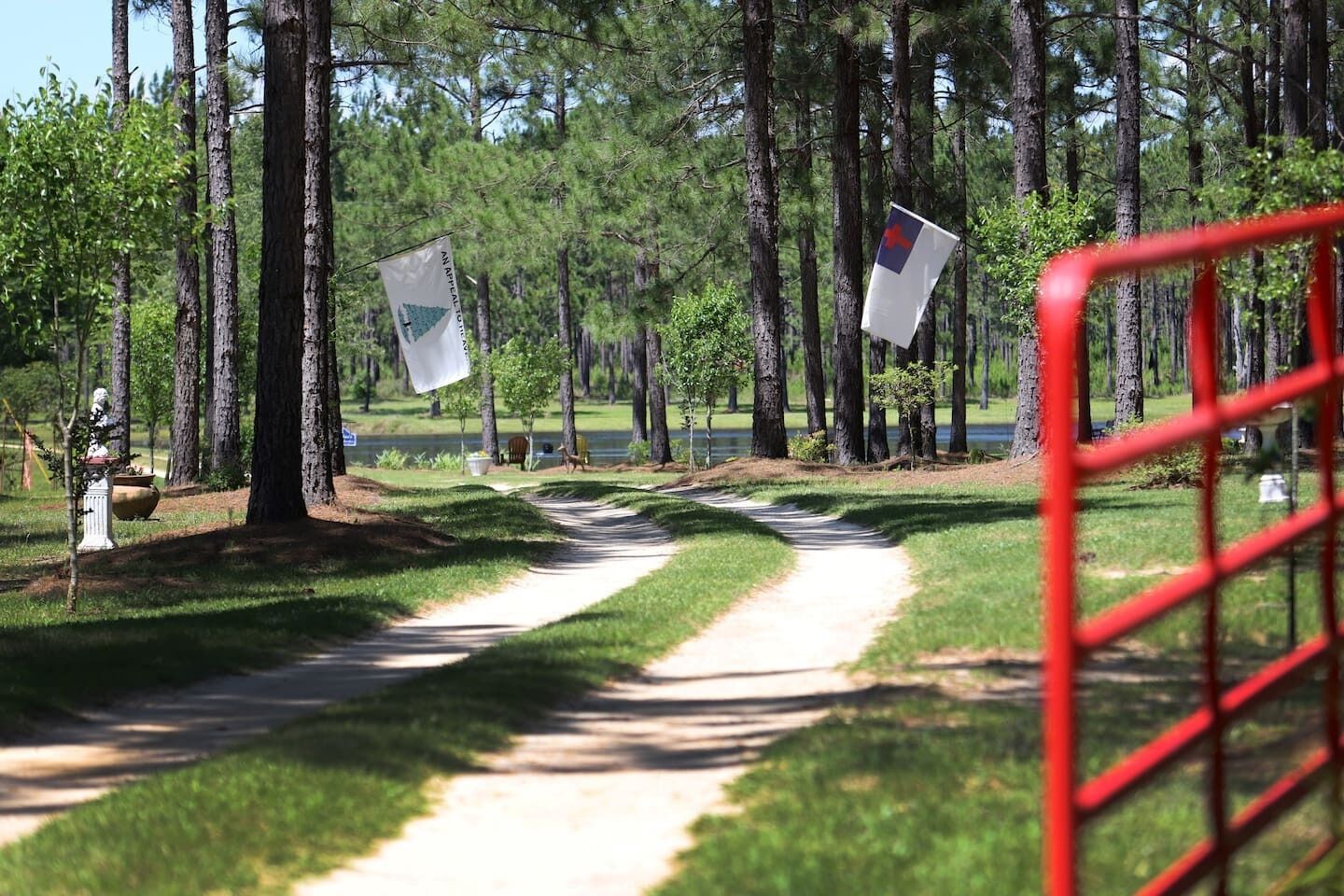 A pathway through a forest with a red metal barrier in the foreground.