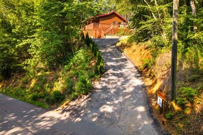 A wooden cabin with a red roof, surrounded by dense forest.