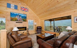 TV, fireplace, books, music library