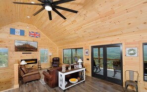 TV, fireplace, books, music library