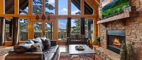 TV, fireplace, video games, DVD player