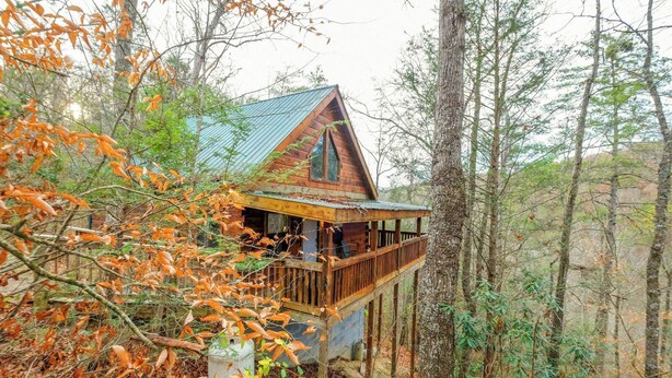 A cabin with a wooden deck and a metal roof, surrounded by trees and foliage.