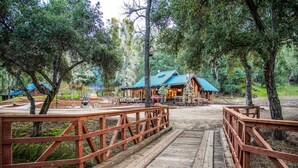 Un puente de madera que conduce a una cabaña con techo azul, rodeada de árboles.