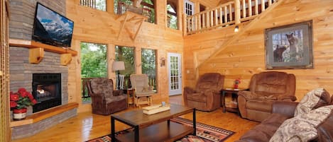 Télévision, cheminée, lecteur de DVD