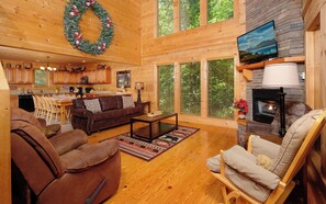 TV, fireplace, DVD player