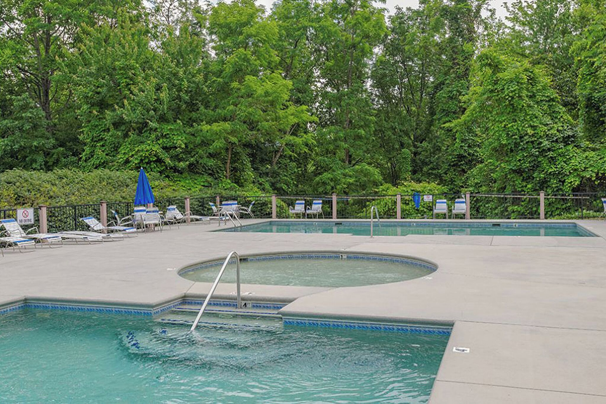 A swimming pool with lounge chairs and umbrellas, surrounded by trees.