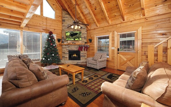 TV, fireplace, video games, DVD player