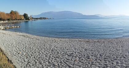 B&B Summer Solstice.Intimate, surrounded by greenery. CIN:IT017171C1ARRG5CEF