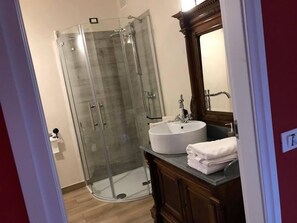 Shower, hair dryer, bidet, towels