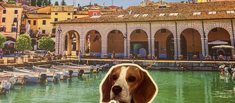 DesenzanoLoft Ciao Lago