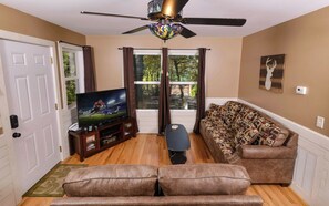 TV, DVD player, ping pong