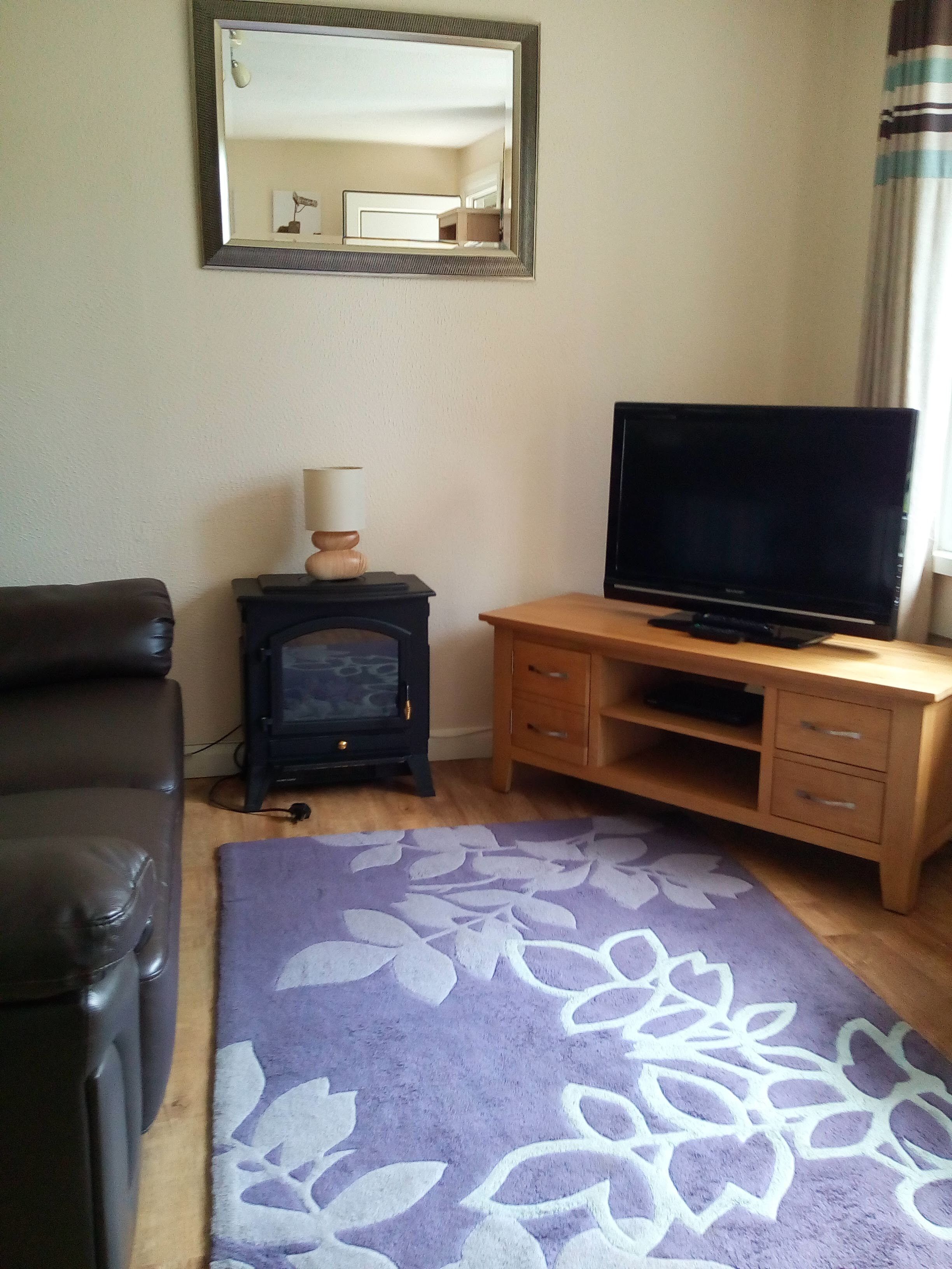 TV, fireplace, video games, DVD player