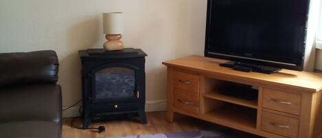 TV, fireplace, video games, DVD player