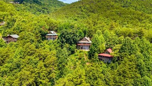 A remote cabin surrounded by dense forest, with a clear view of the surrounding hills. - Peak A View - Spectacular Mountain View, Rec Room Loft, Relaxing Hot Tub (Sevierville)