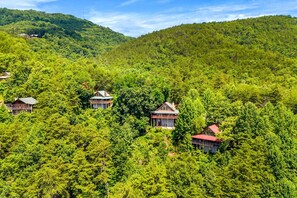 Exterior - Peak A View - Spectacular Mountain View, Rec Room Loft, Relaxing Hot Tub (Sevierville)