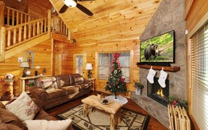 TV, fireplace, video games, DVD player