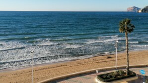Une plage avec un palmier, un panneau indiquant « exotique », et un ciel bleu dégagé.