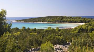 Una spiaggia nelle vicinanze