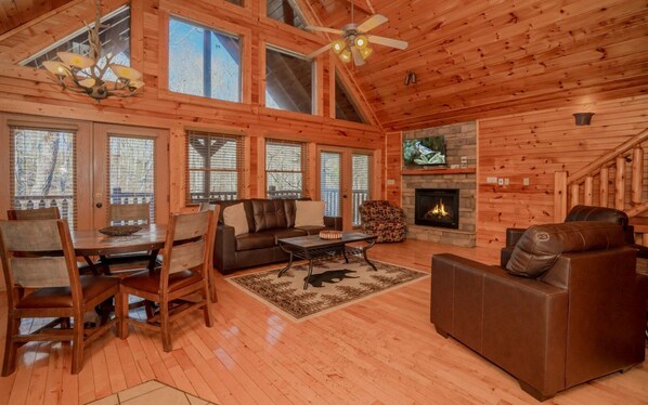 Televisión, chimenea, videojuegos y reproductor de DVD