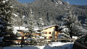 A chalet-style building with a wooden facade, surrounded by snow-covered trees and mountains in the background. - Orovacanze Hotel Villa Emma (Canazei)