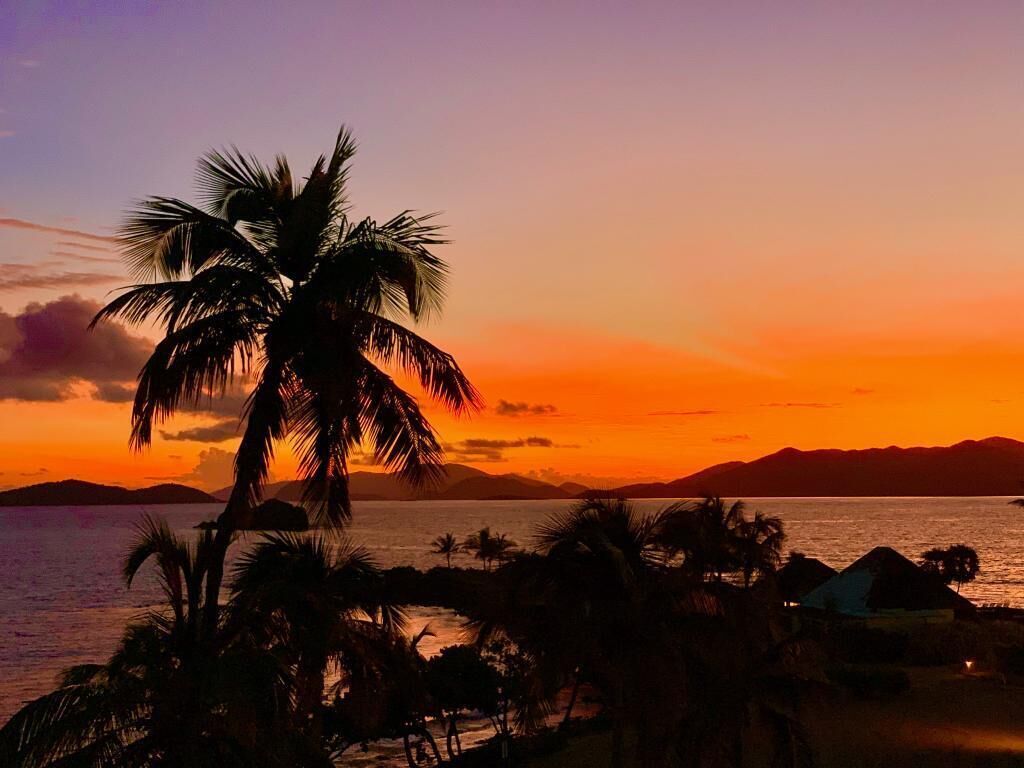 Une scène de plage avec des palmiers et un coucher de soleil.