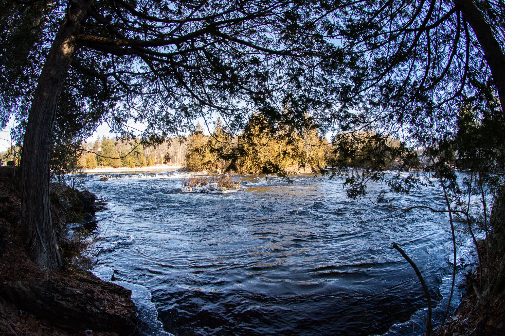 Ein Fluss fließt durch ein bewaldetes Gebiet mit Bäumen und steinernen Ufern.