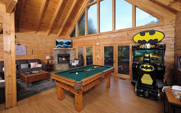 TV, fireplace, video games