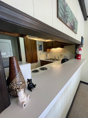 Fridge, microwave, coffee/tea maker, toaster - 'Slopeside Lodge' - Watch Skiers from the Couch! (Sugar Mountain)