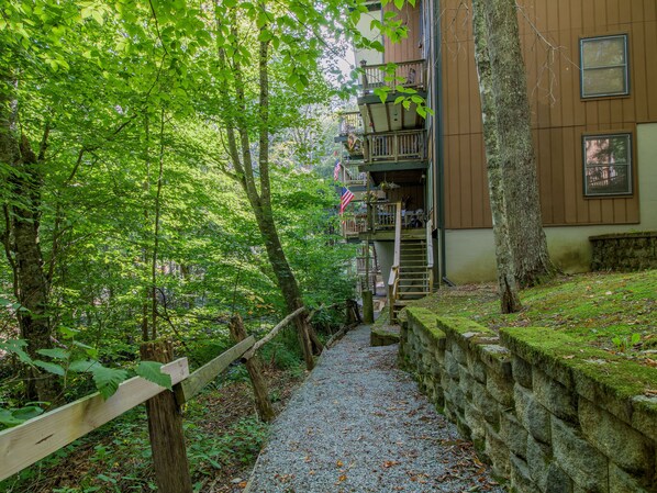 Property grounds - 'Slopeside Lodge' - Watch Skiers from the Couch! (Sugar Mountain)
