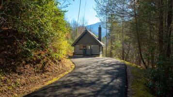 A cabin with a sloped roof and a chimney, surrounded by dense forest and a paved road leading to it.